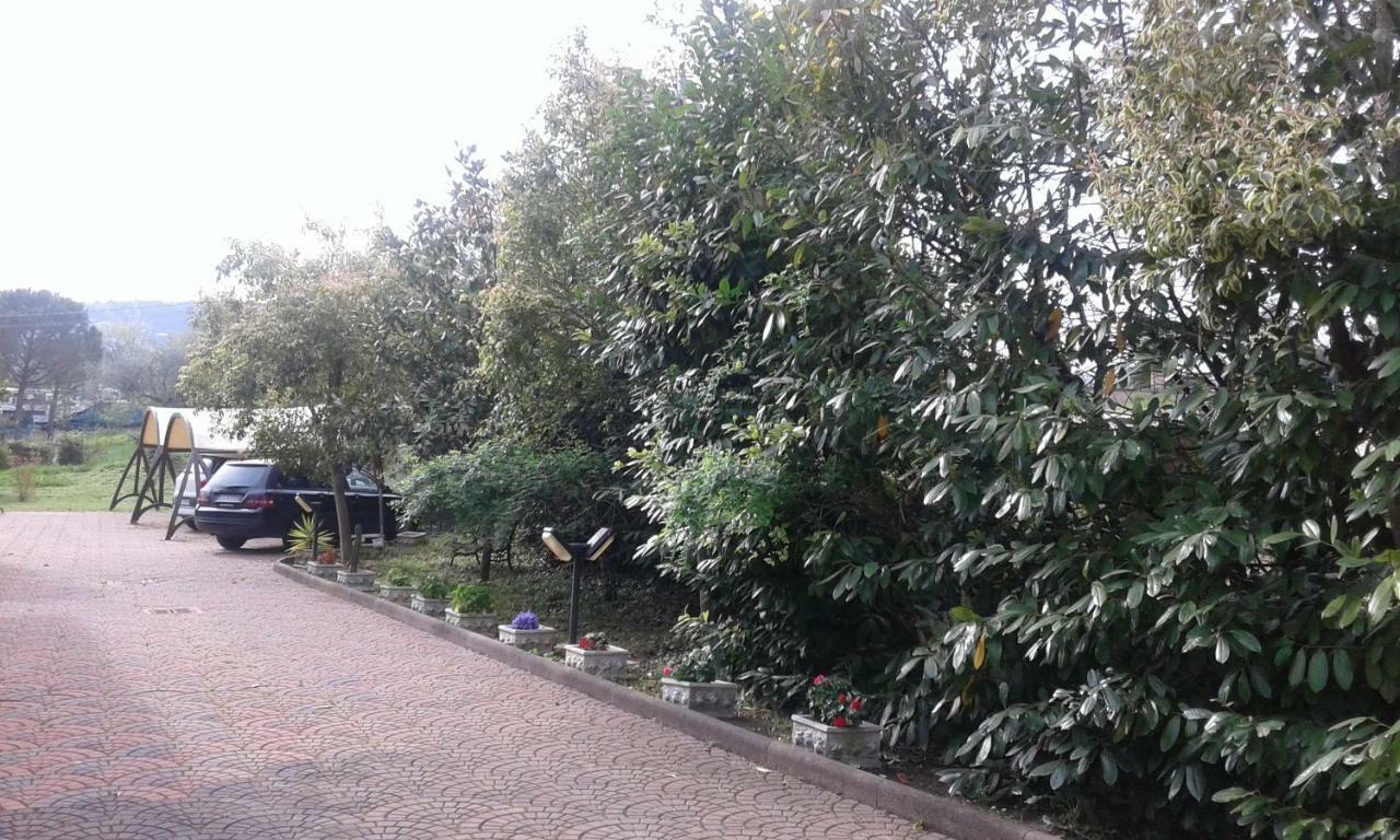 Bed and Breakfast Le Palme Chieti Zewnętrze zdjęcie